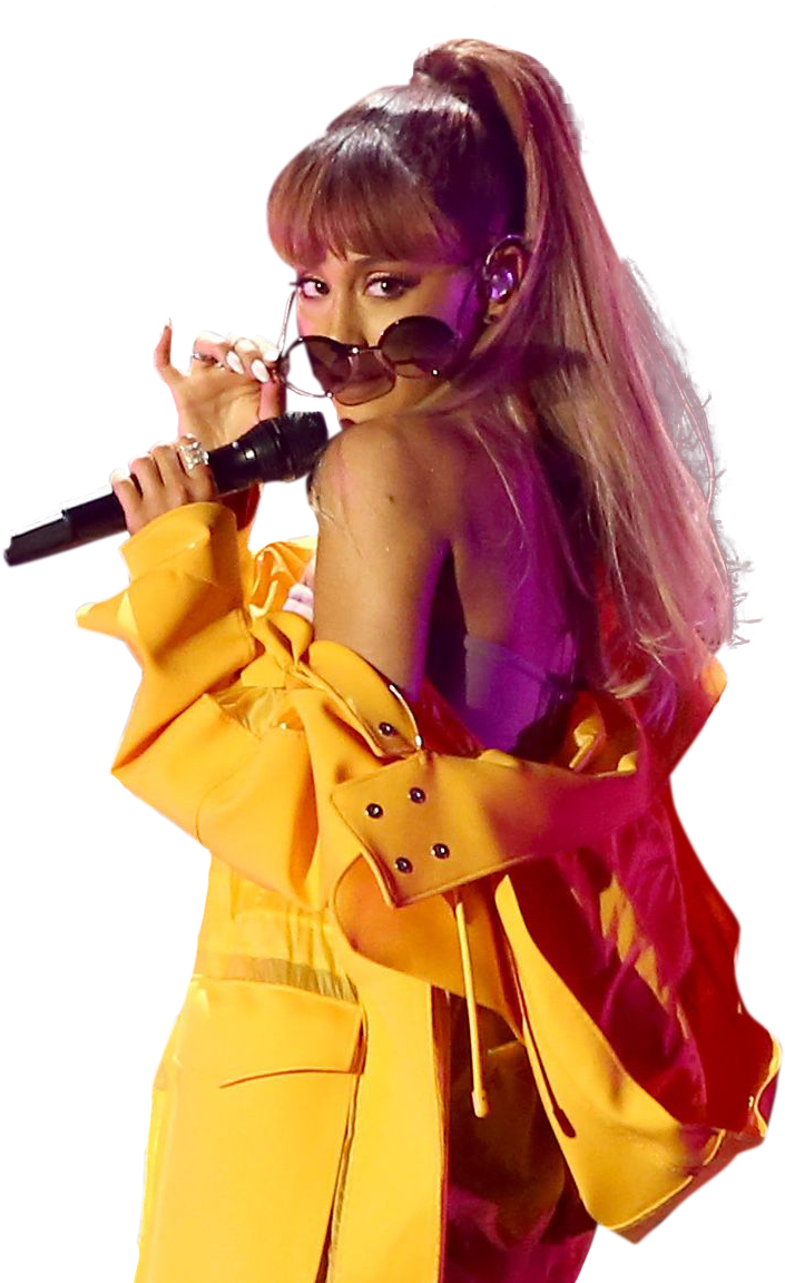 Ariana Grande Yellow Performance Outfit