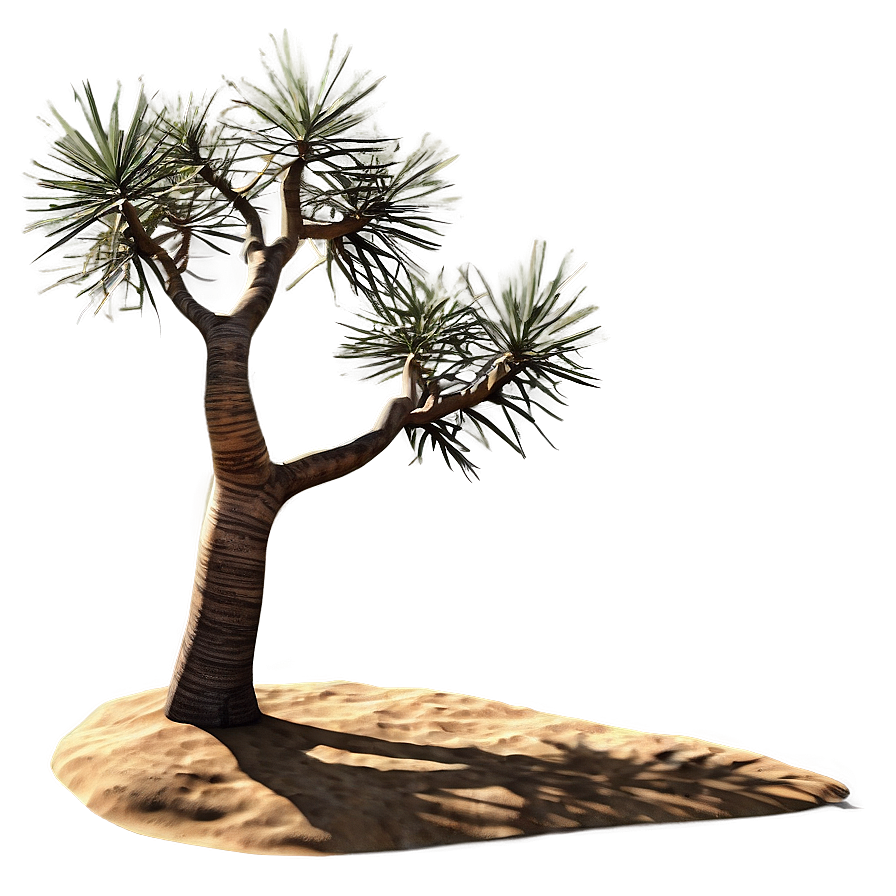 Arid Desert Trees Png Qsy