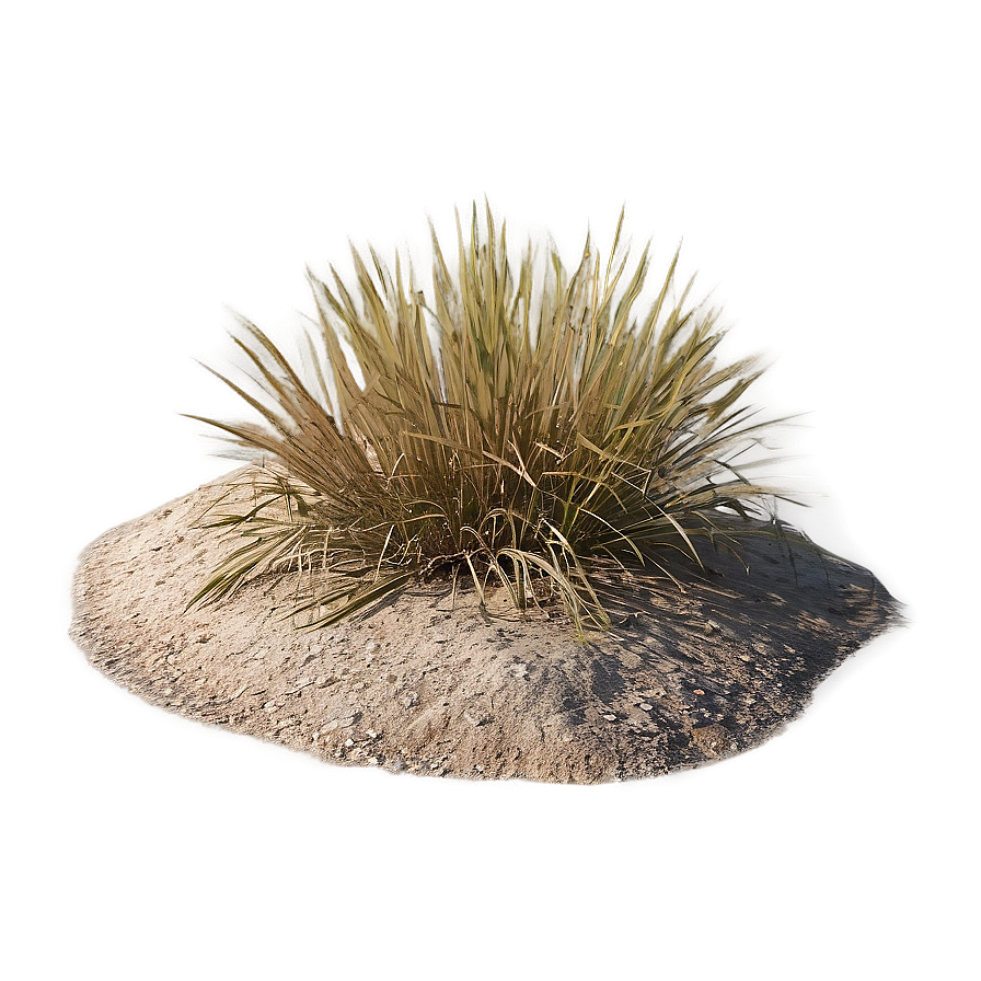 Arid Land Grass Png 97