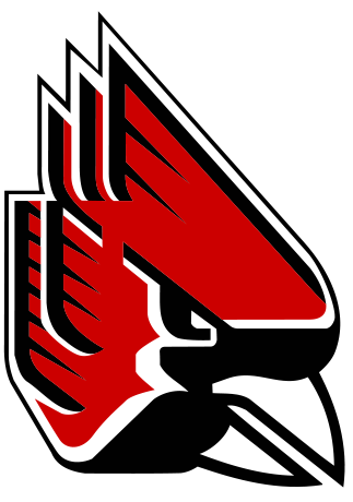 Arizona Cardinals Team Logo