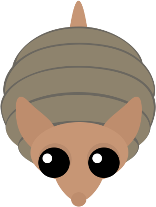 Armadillo Cartoon Graphic