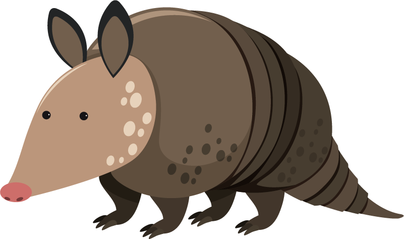 Armadillo Cartoon Illustration