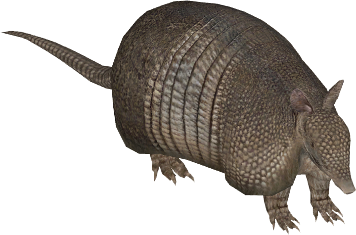 Armadillo Side View Graphic