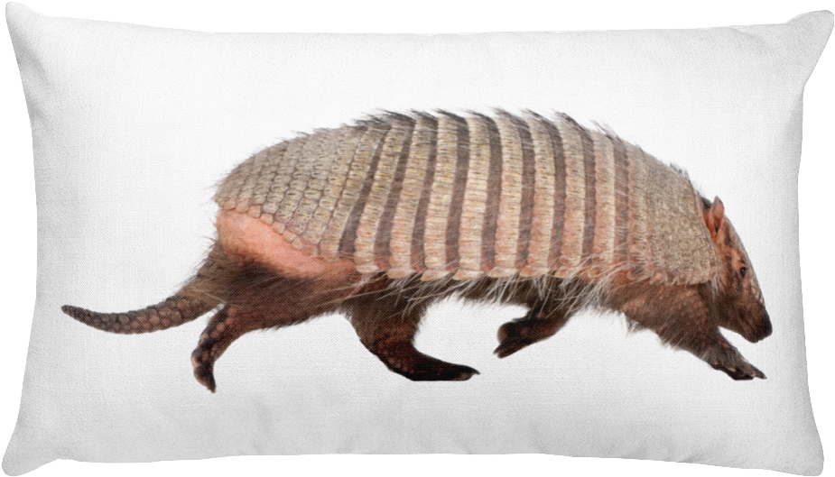 Armadilloon Pillow Graphic