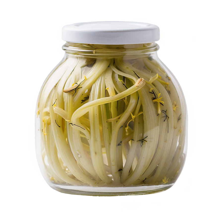 Aromatic Pickled Fennel Png 85