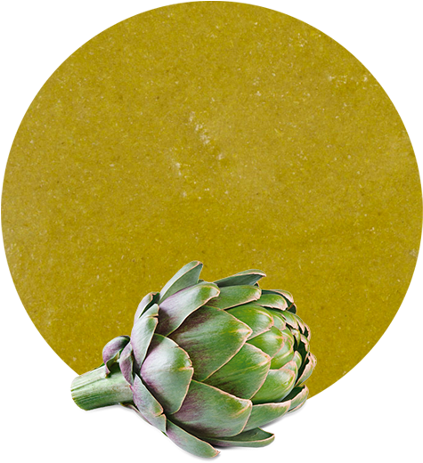 Artichokeon Mustard Backdrop.png