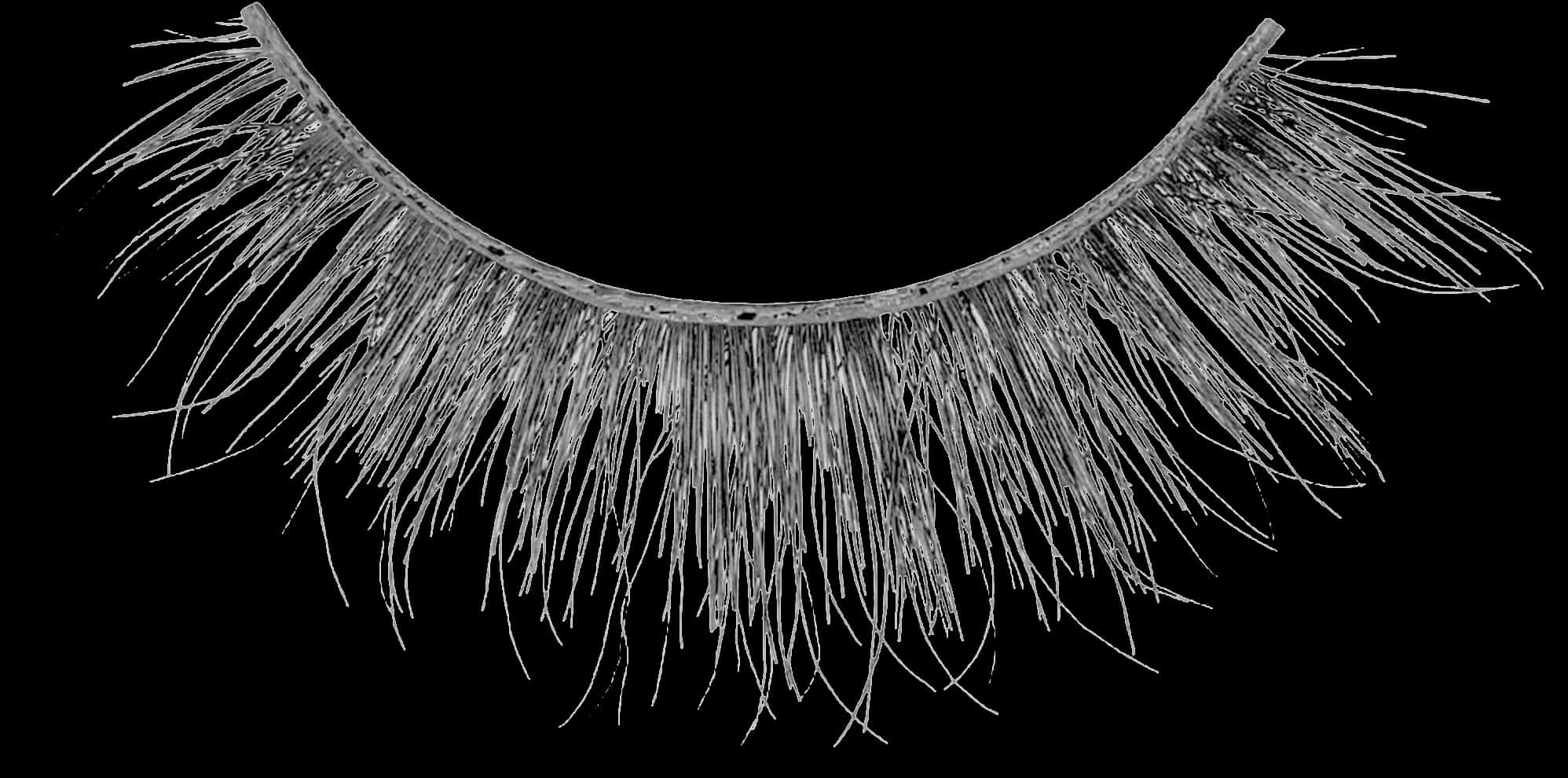 Artificial Eyelashon Black Background