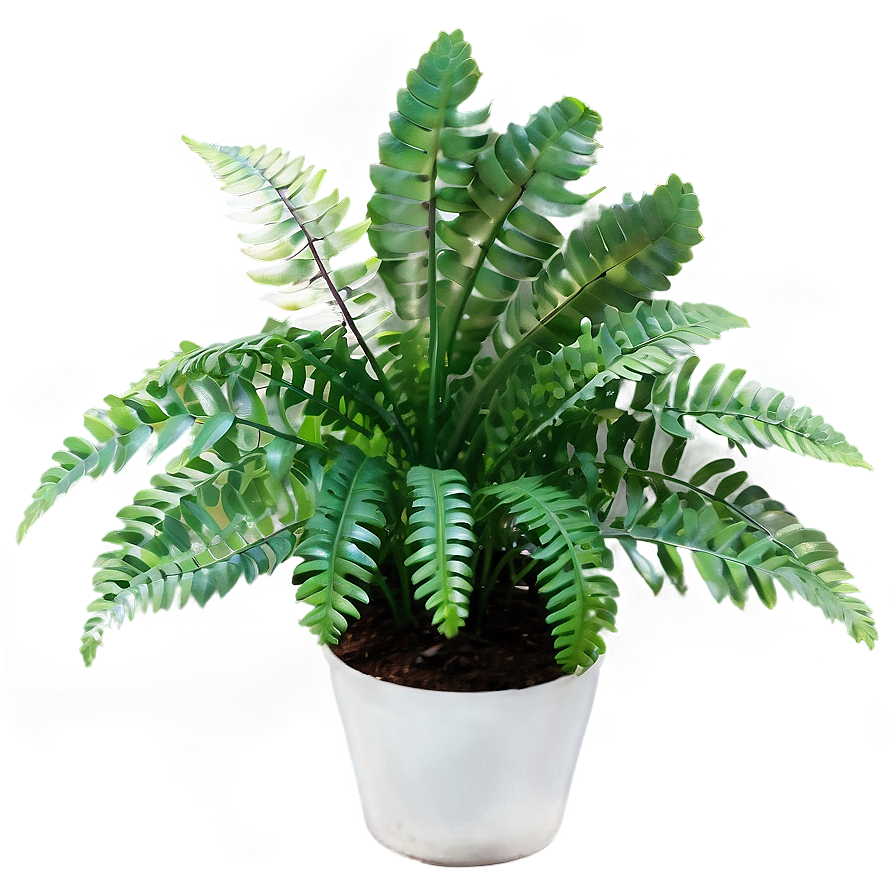 Artificial Fern Plant Png Jjw66