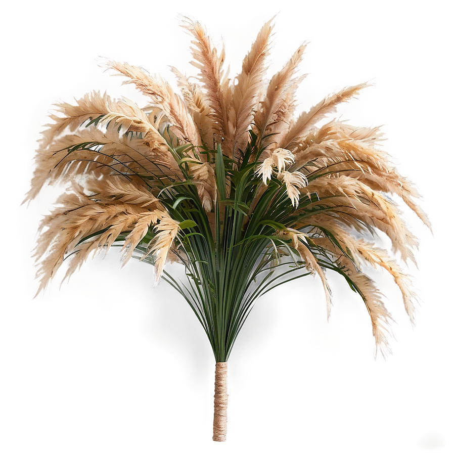 Artificial Pampas Grass Png Afs