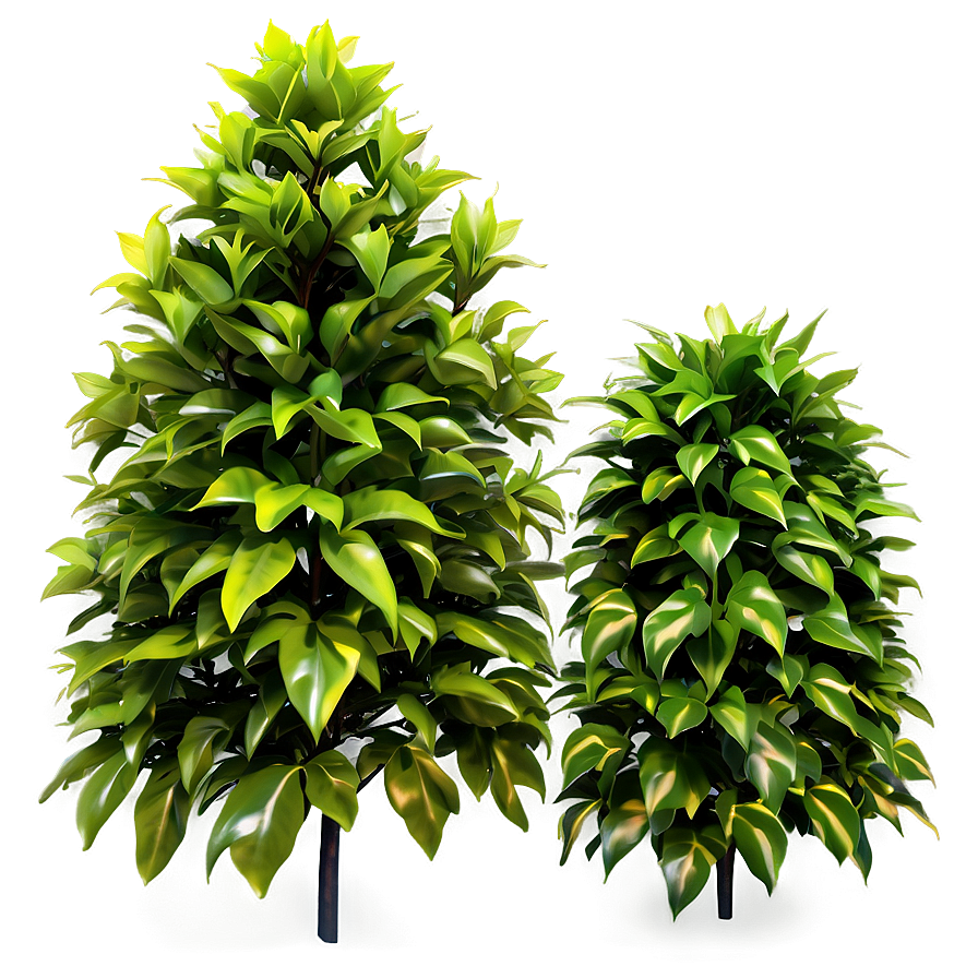 Artificial Shrubbery Png 06282024