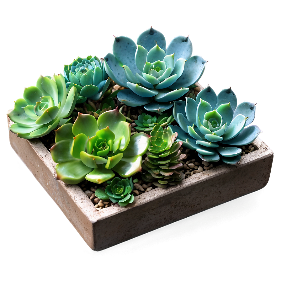 Artificial Succulents Design Png 06212024