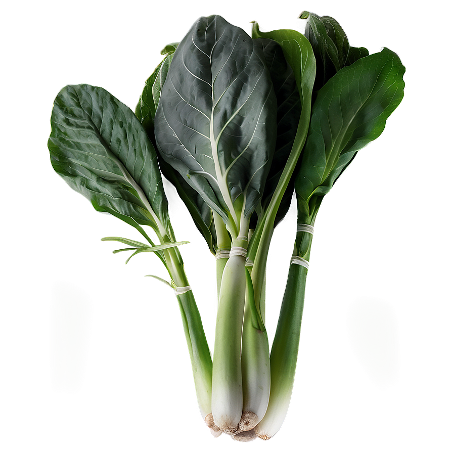 Asian Vegetables Png 05242024