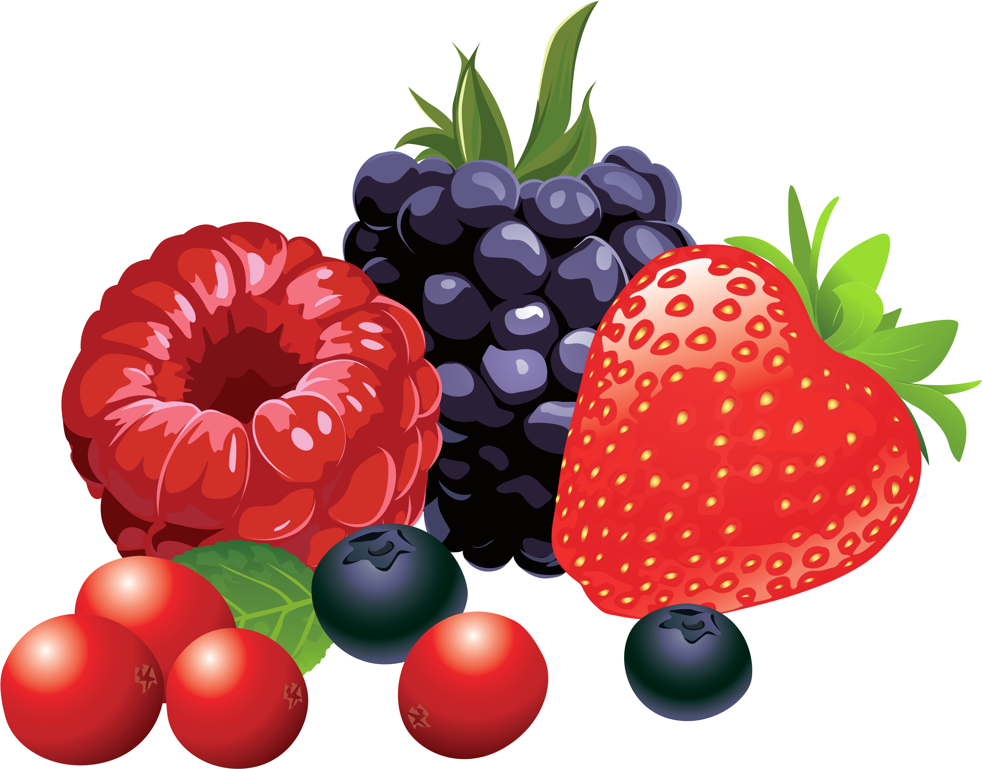 Assorted Berries Illustration