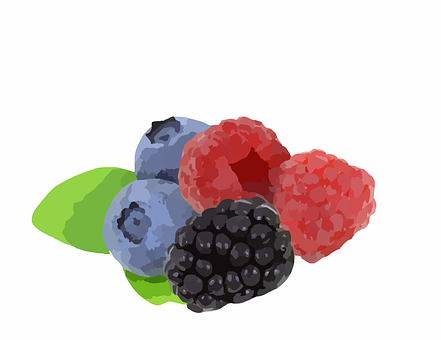 Assorted Berries Illustration