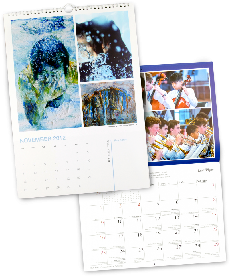 Assorted Calendars Display20122019
