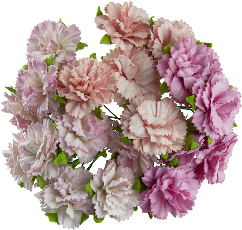 Assorted Carnations Floral Display