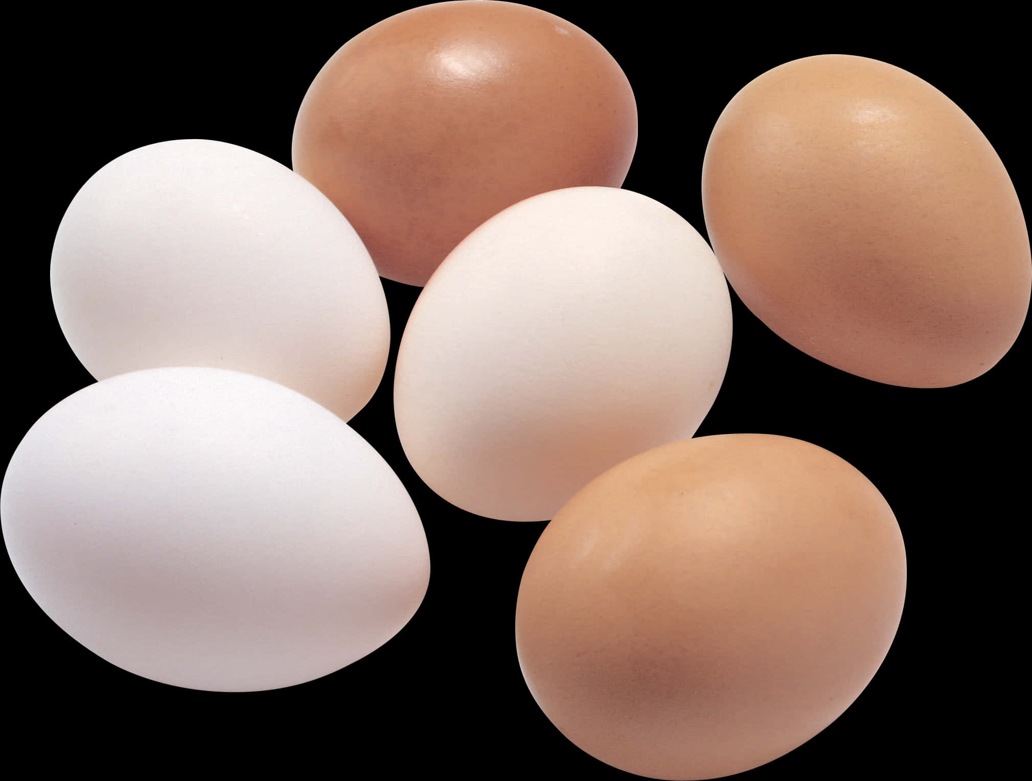 Assorted Chicken Eggson Black Background.jpg