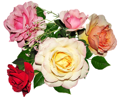 Assorted_ Color_ Roses_ Bouquet