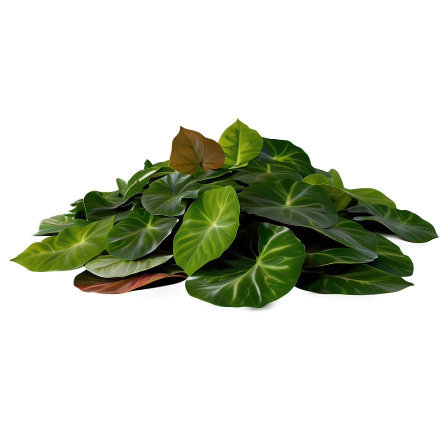 Assorted Leaves Pile Png Tqp