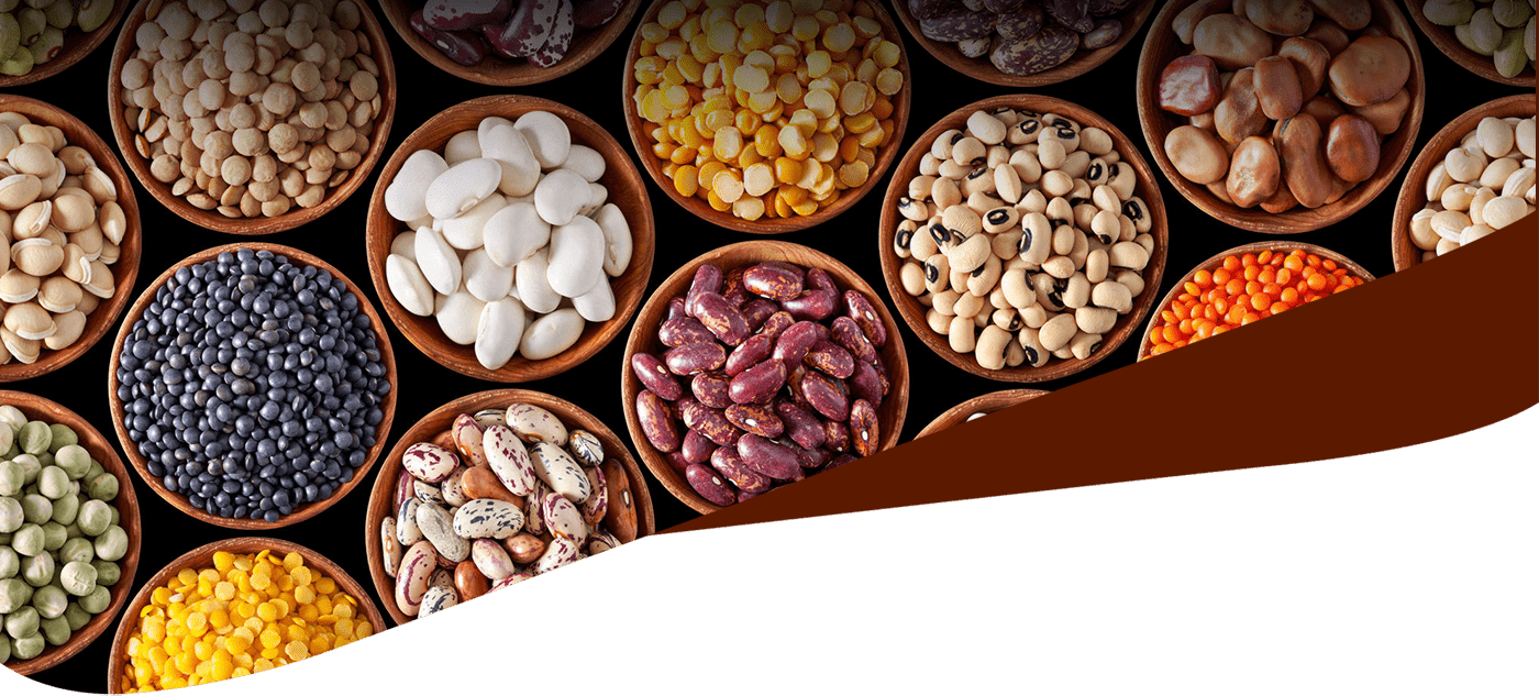 Assorted Legumesand Nuts Variety