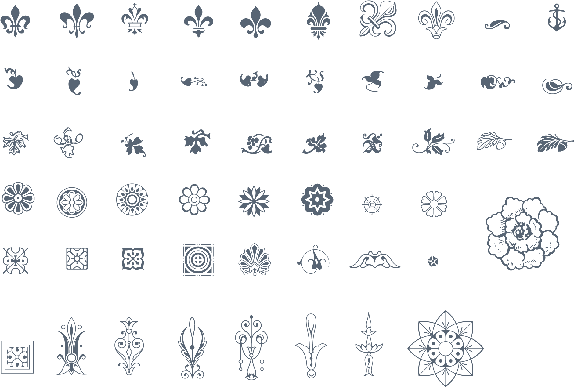 Assorted Ornament Vectors Collection