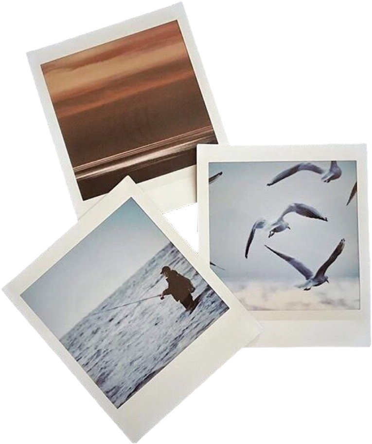 Assorted Photography Prints Collection