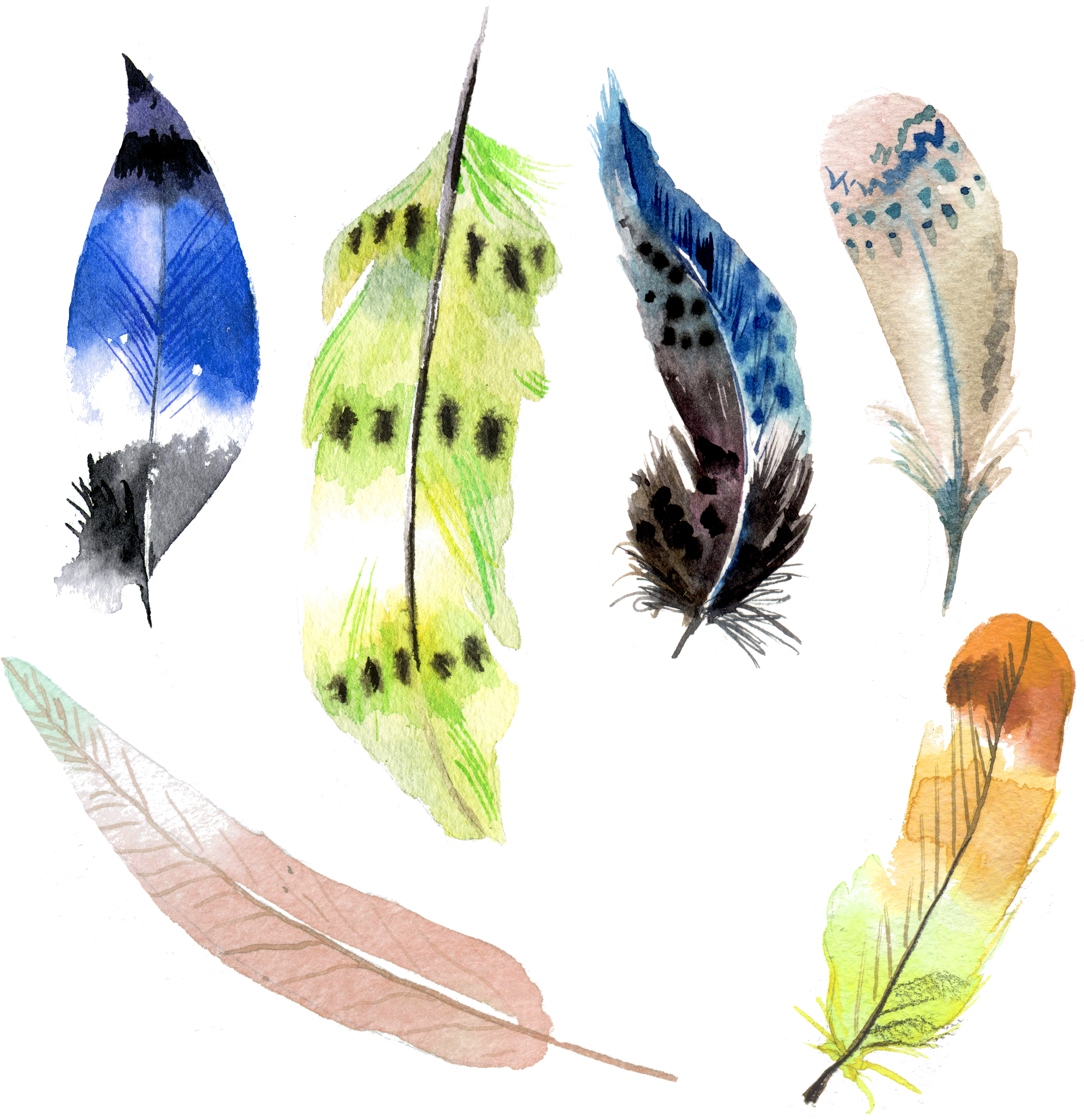 Assorted Watercolor Feathers Illustration