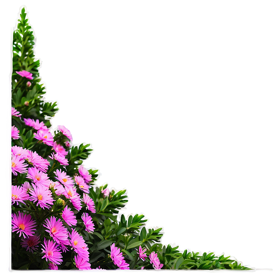 Aster Flower Bush Png 91