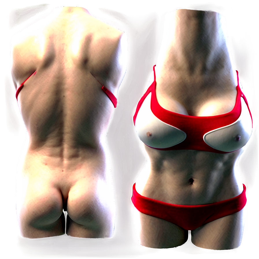 Athletic Female Torso Png 06282024