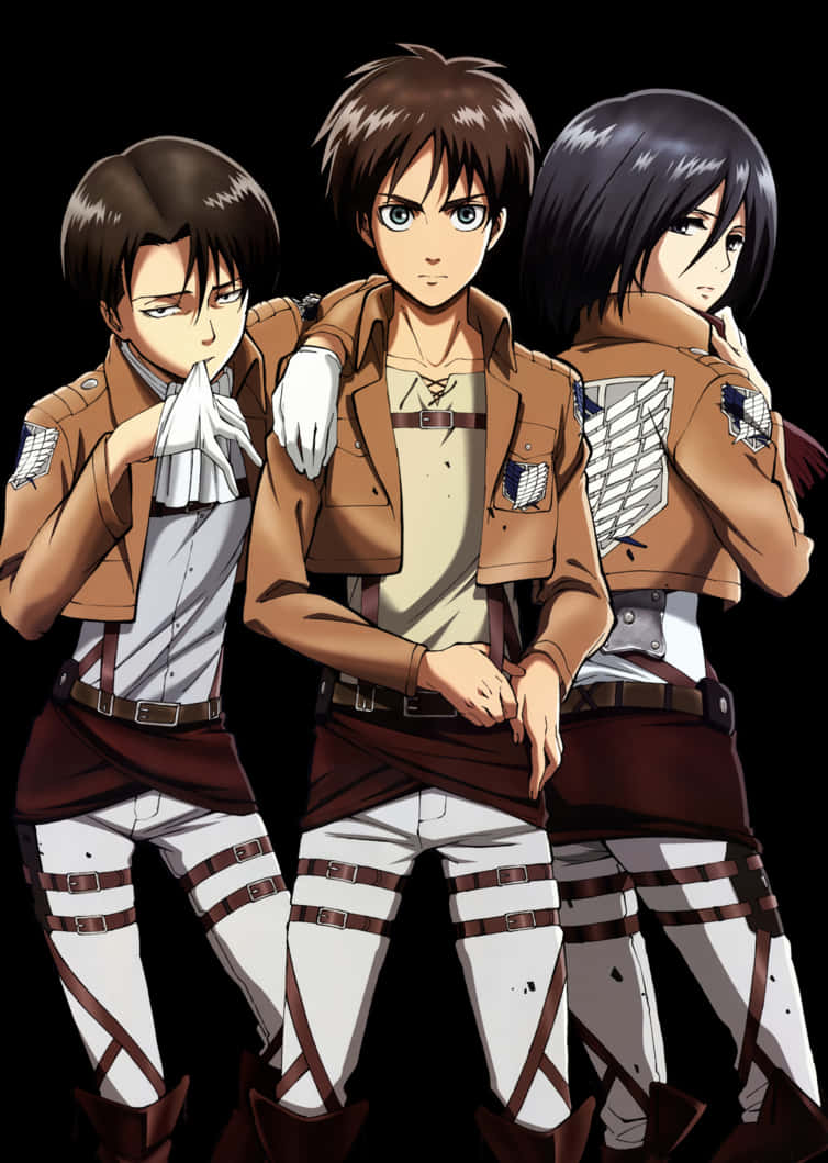 Attack_on_ Titan_ Main_ Characters