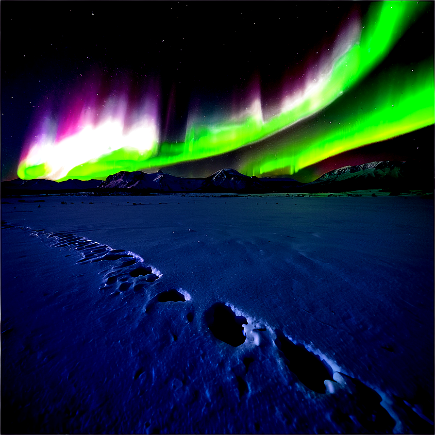 Aurora Borealis Over Snowfield Png 06242024