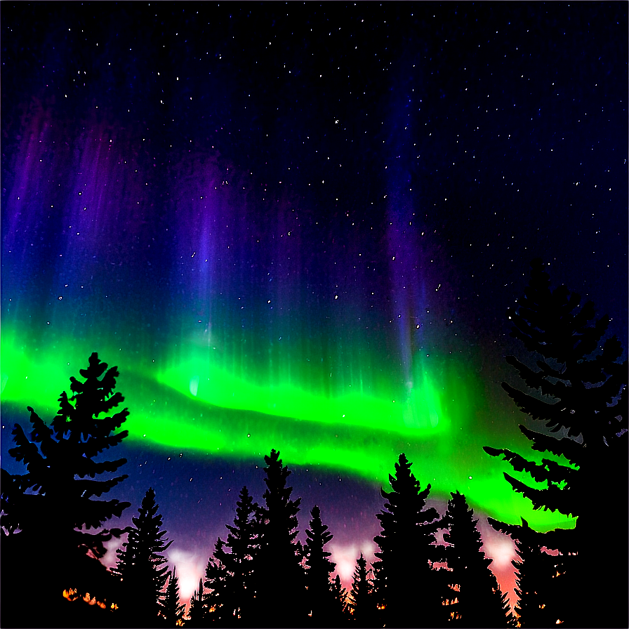 Aurora Borealis Through Pine Trees Png 16