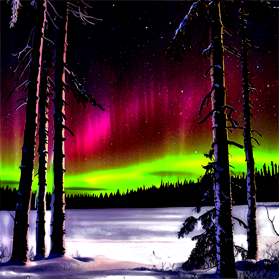 Aurora Borealis Through Pine Trees Png 17