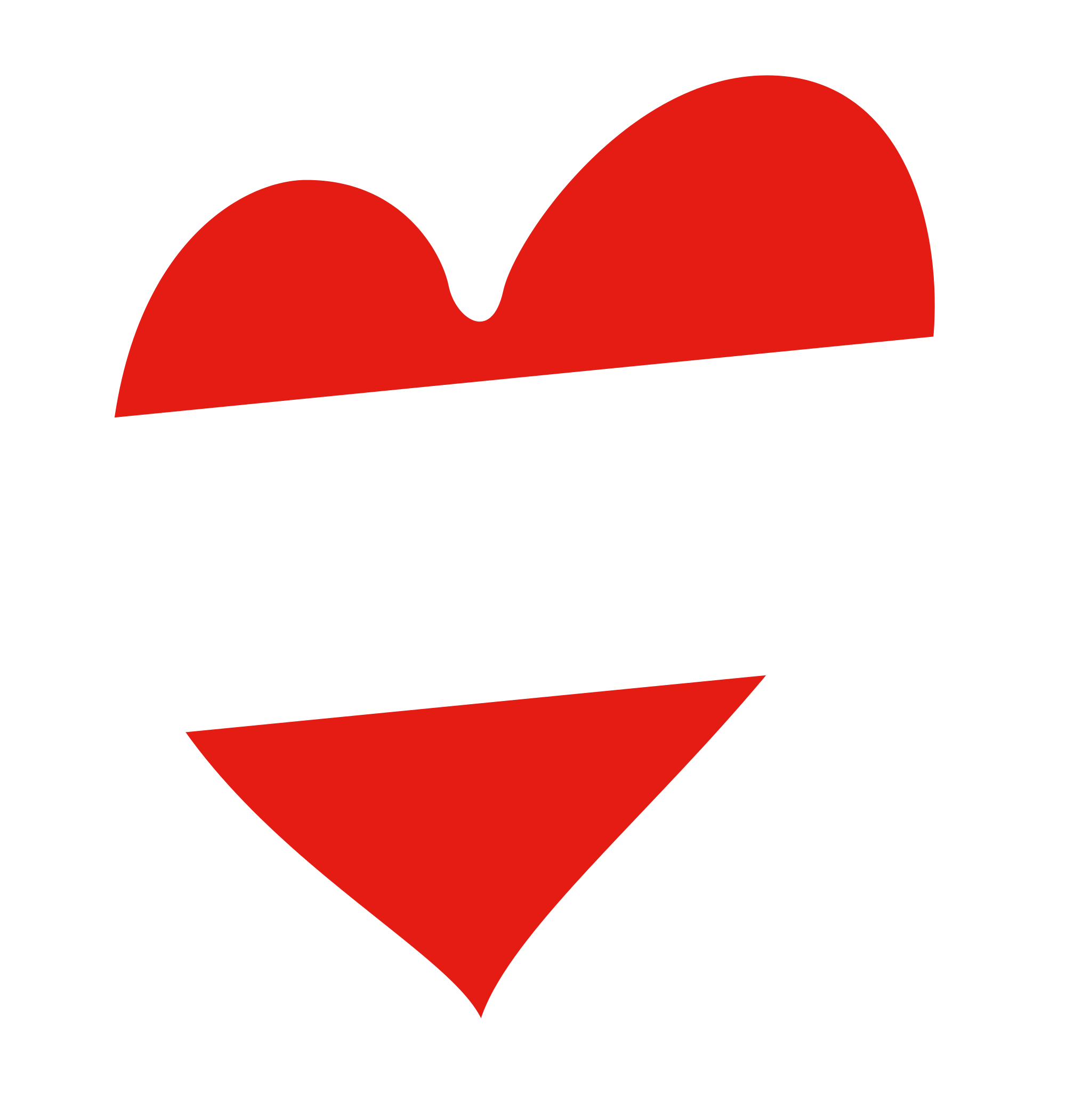 Austrian Heart Flag Graphic