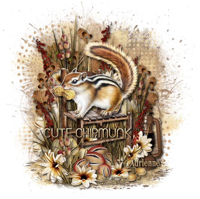 Autumn Chipmunk Illustration