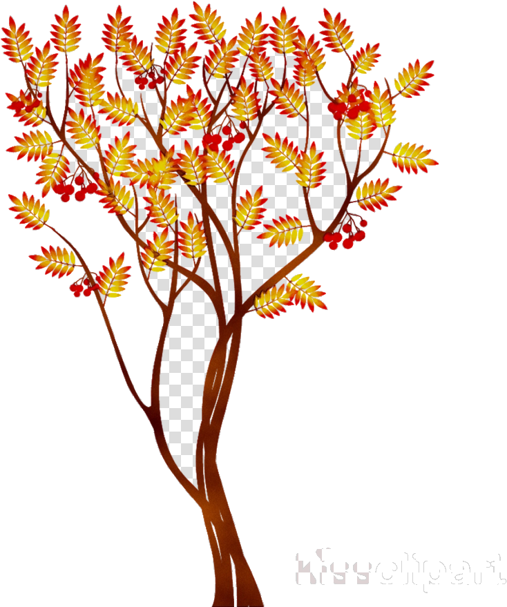 Autumn Flower Tree Transparent Background