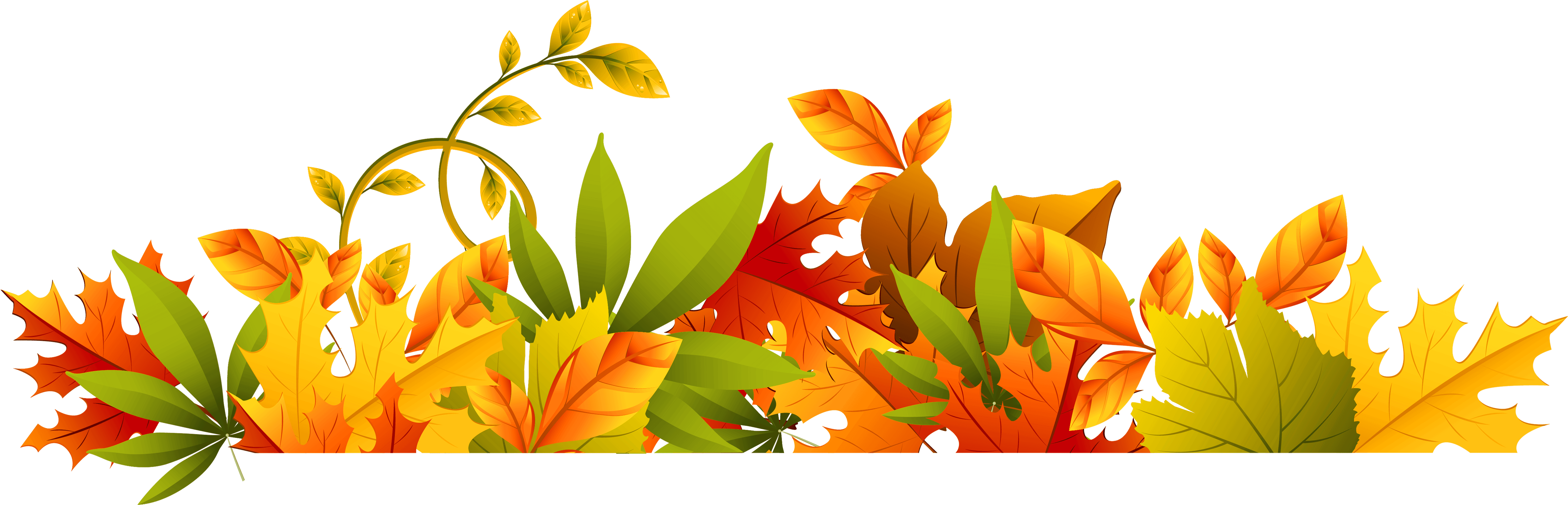 Autumn_ Leaf_ Border_ Design