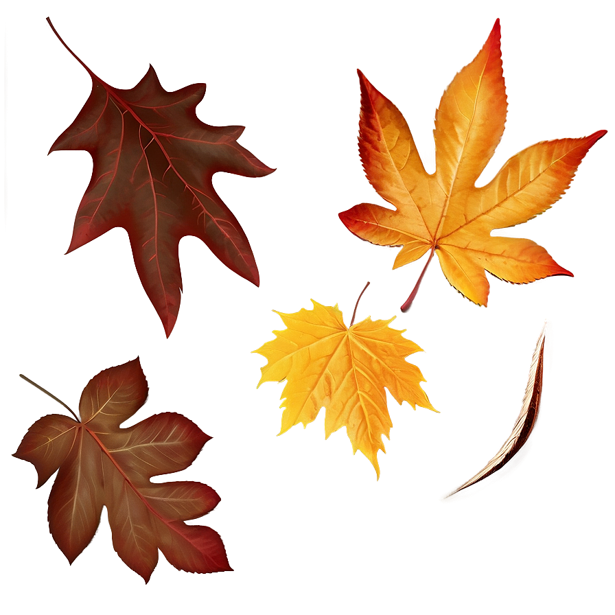 Autumn Leaf Collection Png Iqg