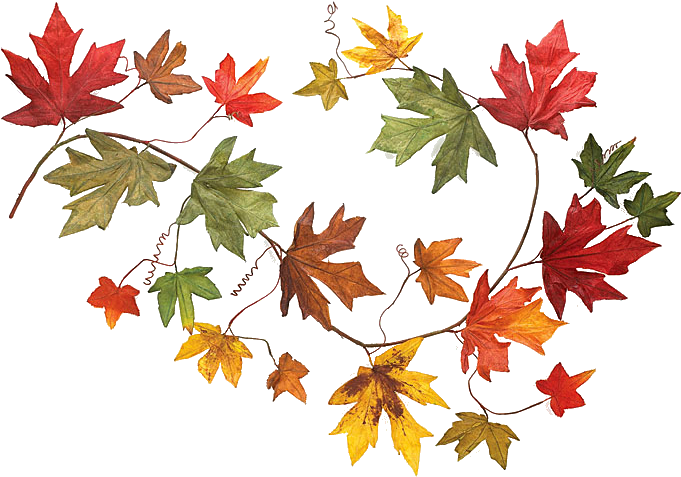 Autumn Leaf Garland