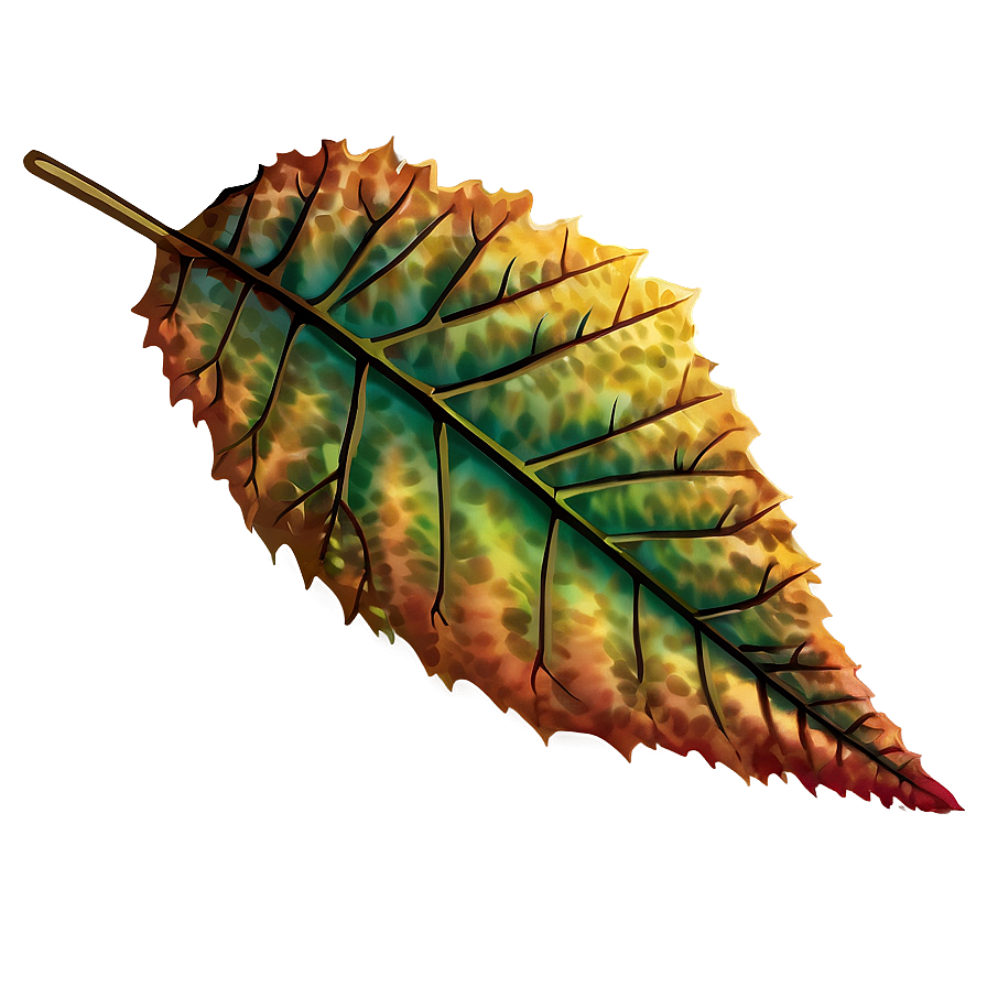 Autumn Leaf Png 05032024