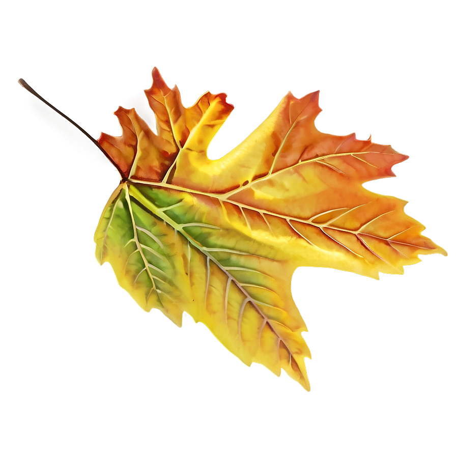 Autumn Leaf Png Wnk