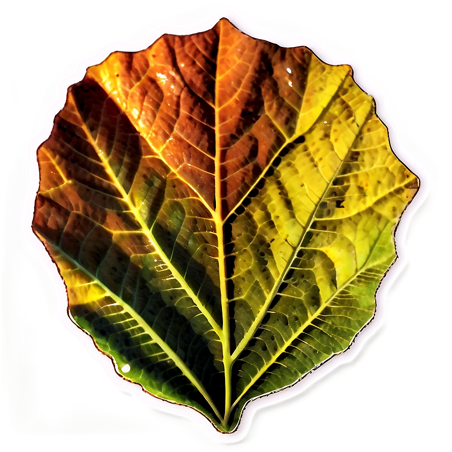 Autumn Leaf Sticker Png 66