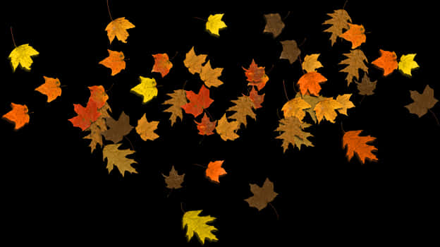 Autumn_ Leaves_ Against_ Dark_ Background.jpg
