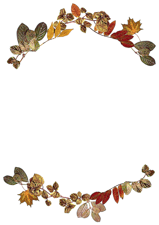 Autumn_ Leaves_ Arch_ Frame