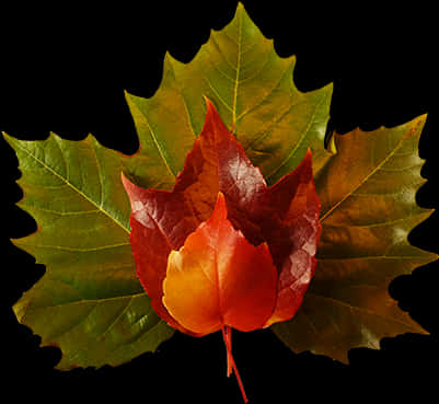 Autumn_ Leaves_ Arrangement