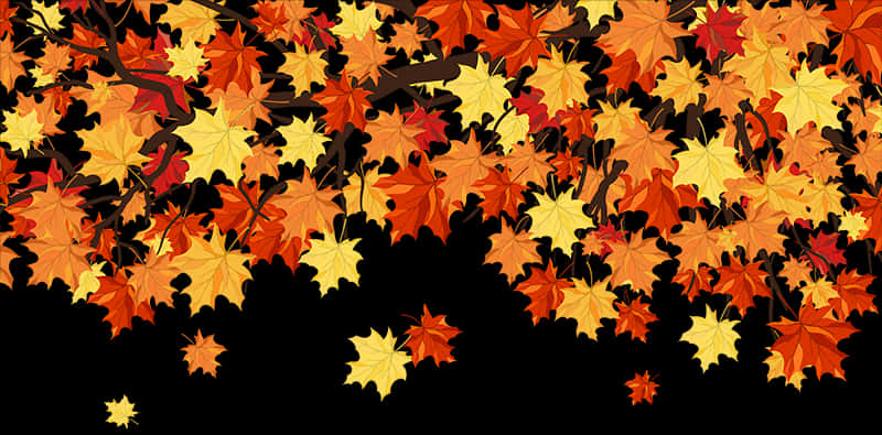 Autumn_ Leaves_ Background