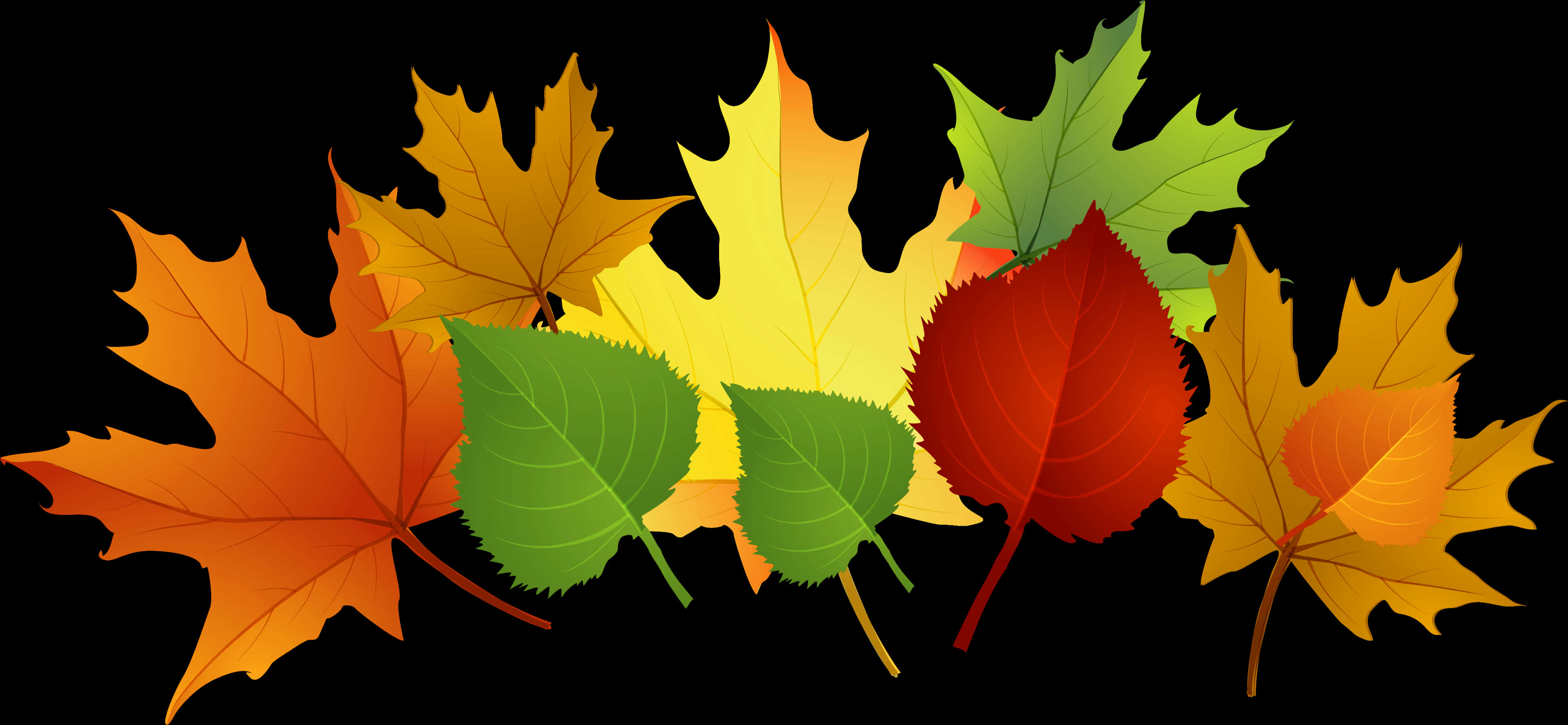 Autumn_ Leaves_ Clipart