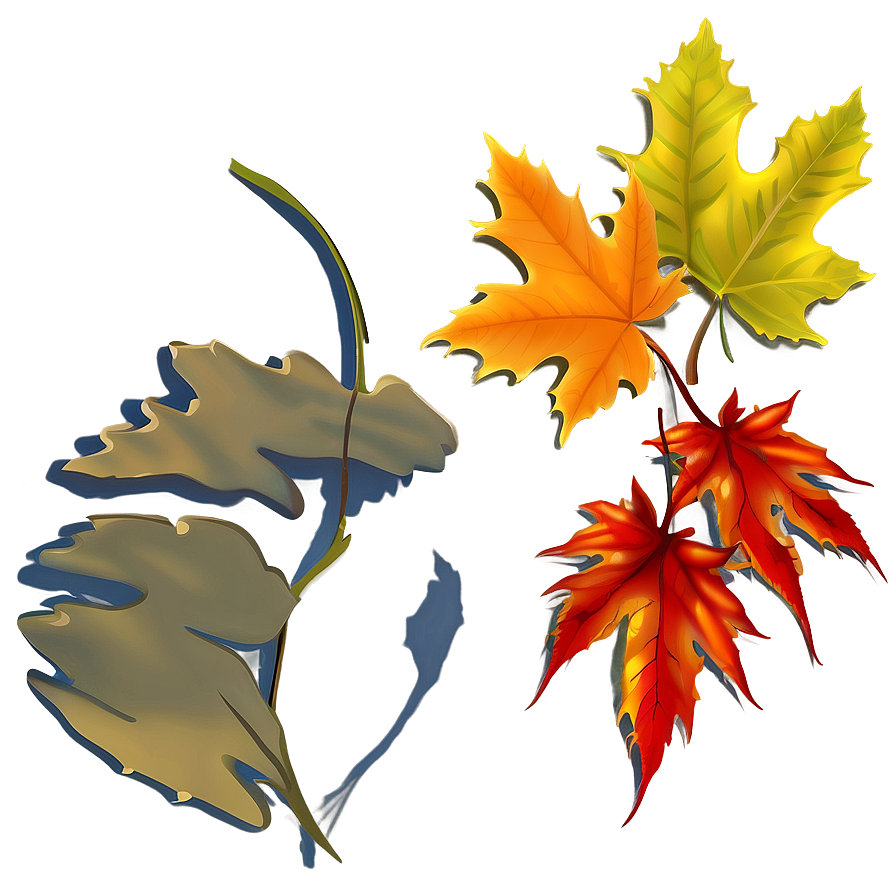 Autumn Leaves Clipart Png 05042024