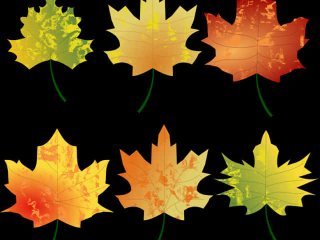 Autumn_ Leaves_ Collection