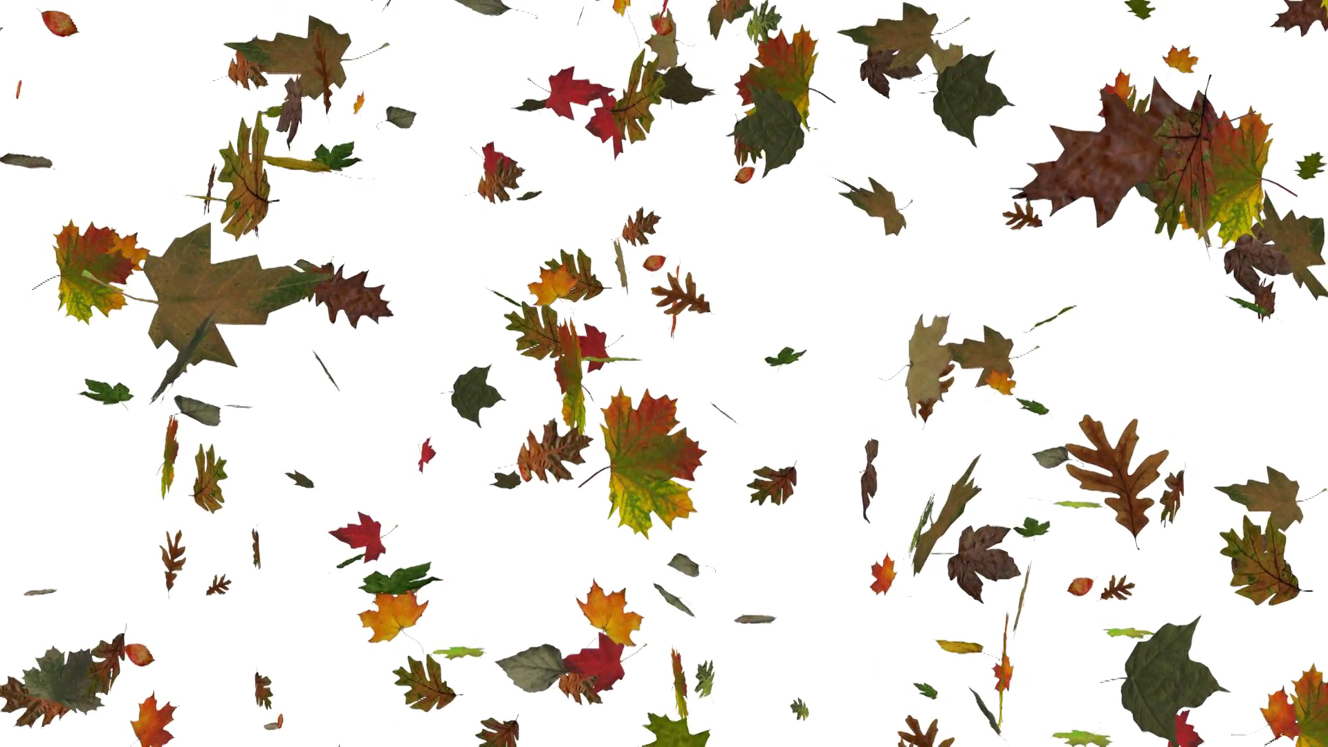 Autumn Leaves Falling Background